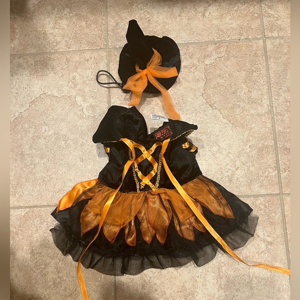 Small dog witch costume. With cute little witch hat!